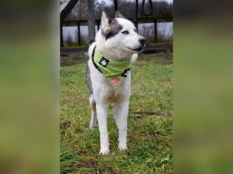 Oktavius ist ein toller Hundemann