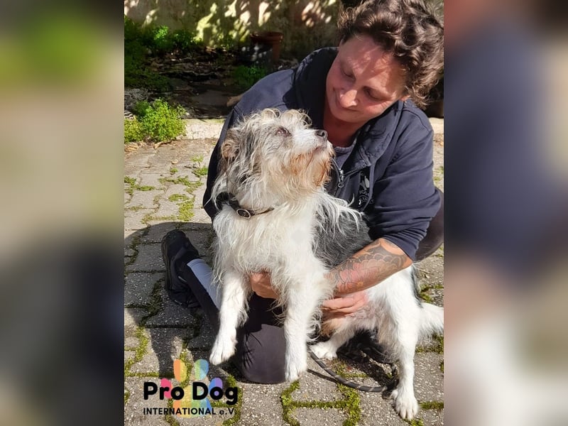 Leo sucht seine Familie