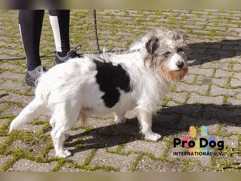 Leo sucht seine Familie