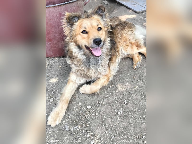 Rocky .....Von der Straße ins Herz