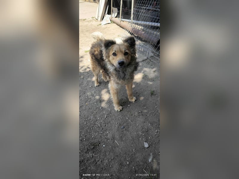 Rocky .....Von der Straße ins Herz