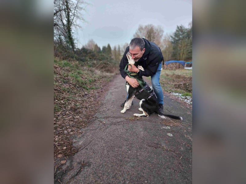 Ciriaco: Traumhund für aktive Menschen