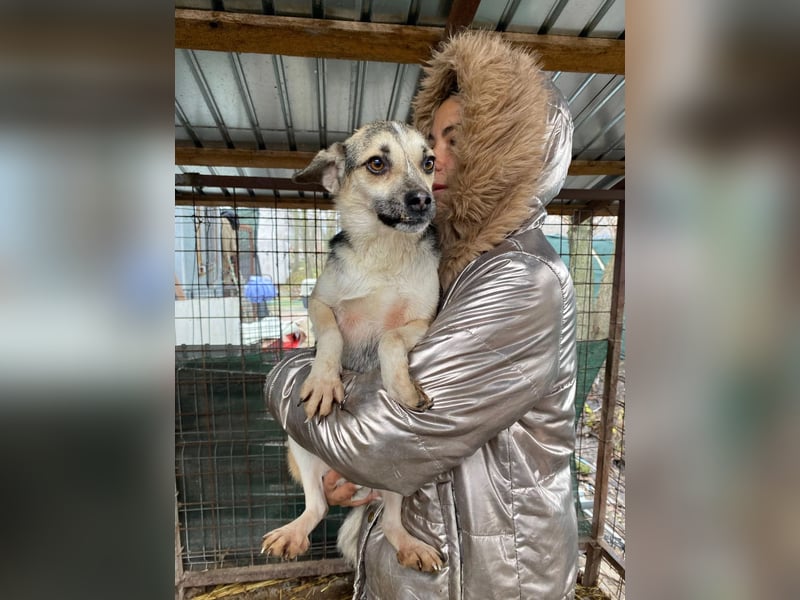 drolliger, pfiffiger Flocki sucht Herzensmenschen