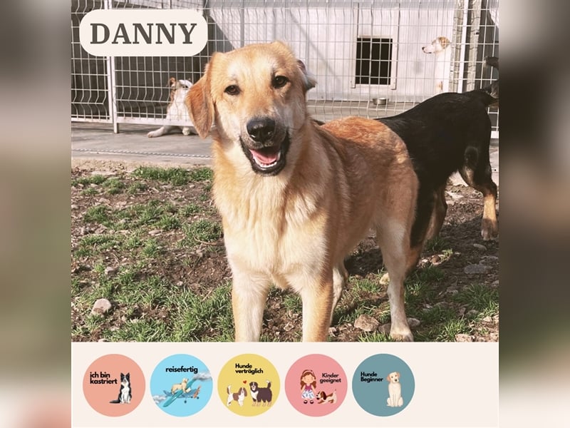 Bist du Danny’s Mensch?
