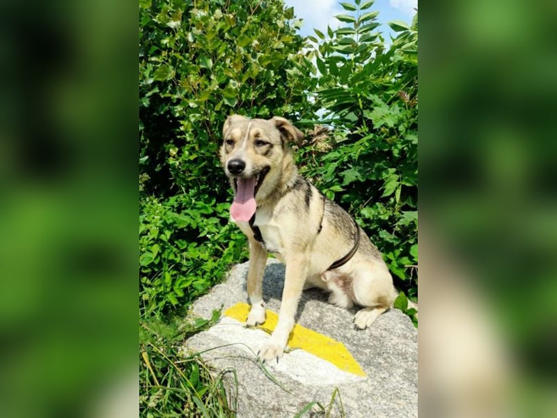 Luka sucht sein Glück!