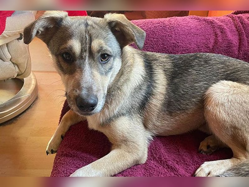 Luka sucht sein Glück!