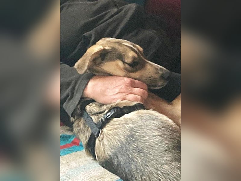Luka sucht sein Glück!