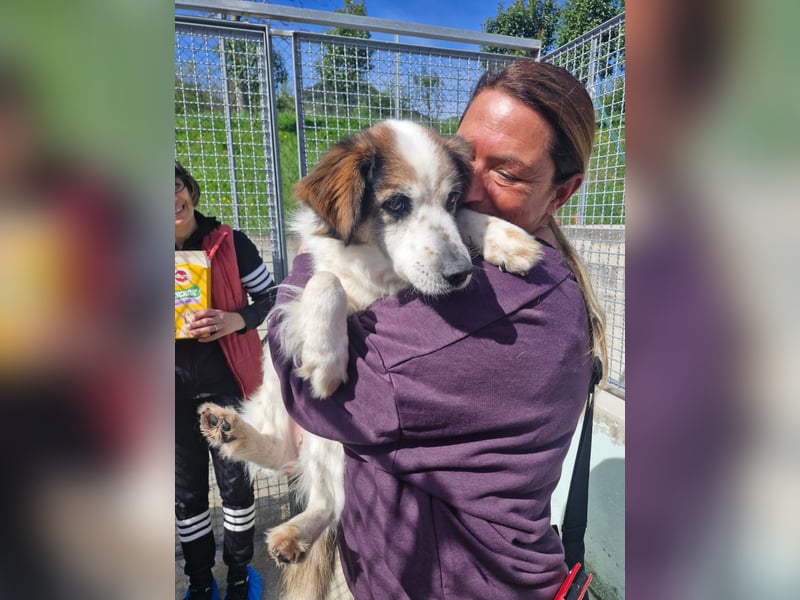 Senior Max sucht sein Körbchen
