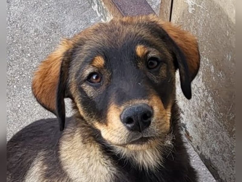 BEN❤️lebenslustiger, menschenbezogener Sugar-Boy