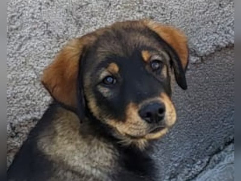 BEN❤️lebenslustiger, menschenbezogener Sugar-Boy