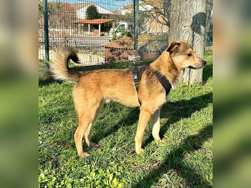 Lirio Tobias, der unkomplzierte