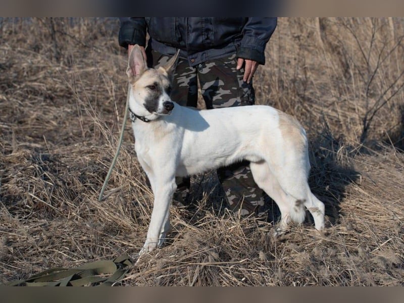 Bruno, geb. 01/2024, Ein Rohdiamant, der leuchten möchte