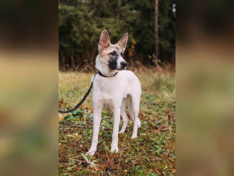 Bruno, geb. 01/2024, Ein Rohdiamant, der leuchten möchte