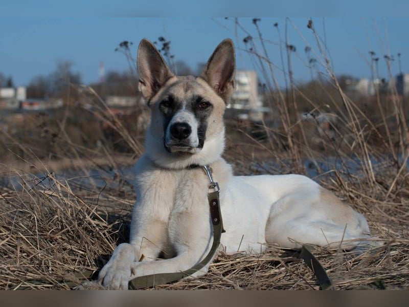 Bruno, geb. 01/2024, Ein Rohdiamant, der leuchten möchte