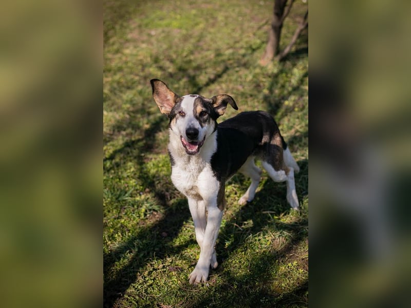 Jim: Sucht ein Abenteuer