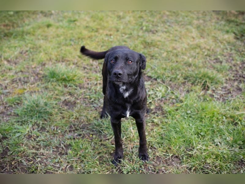 Fritzi: sucht dich!
