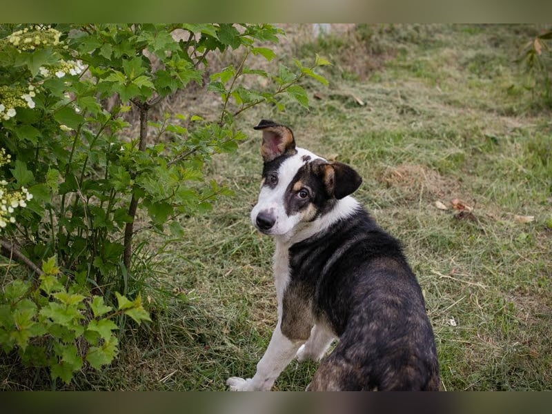 Jim: Sucht ein Abenteuer