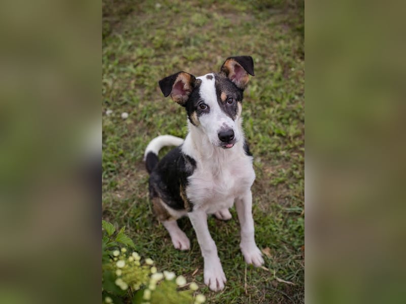 Jim: Sucht ein Abenteuer