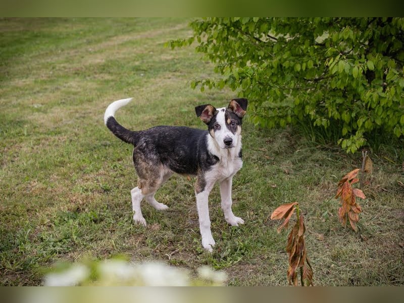 Jim: Sucht ein Abenteuer