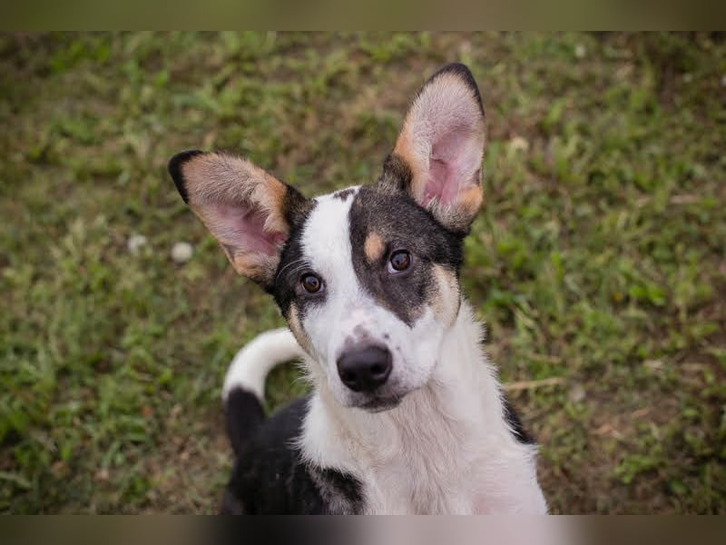 Jim: Sucht ein Abenteuer