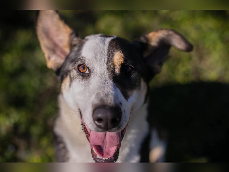 Jim: Sucht ein Abenteuer
