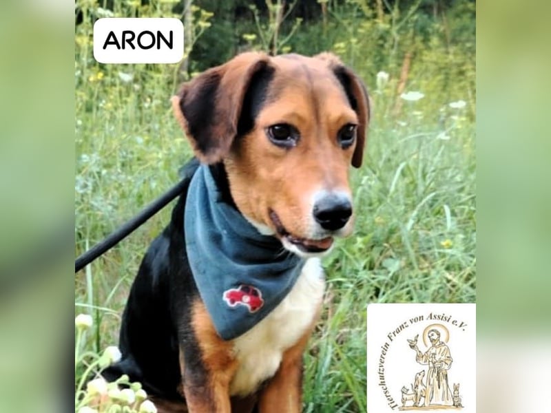 ARON -  neugieriger, kluger Sonnenschein