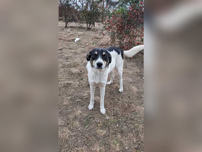 Jakye möchte schnell wieder raus aus dem Shelter