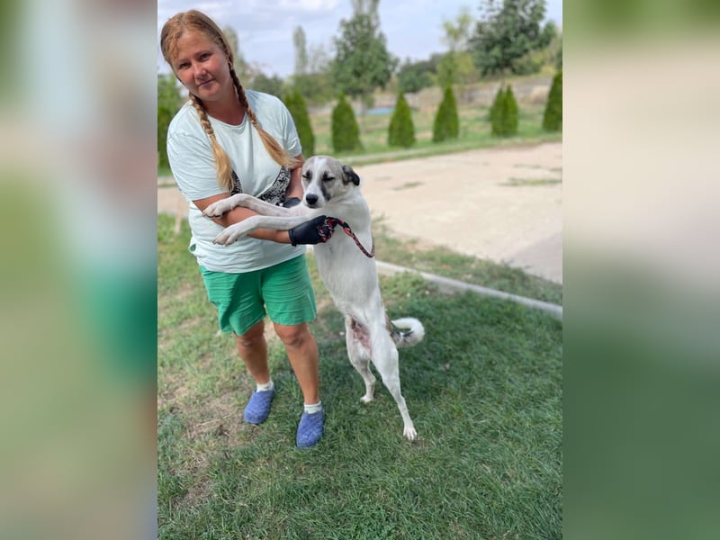 NICAN – Herzenshund mit großem Kuschelbedürfnis ❤️