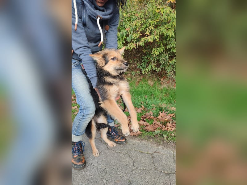 Fero freut sich auf ein schönes Leben