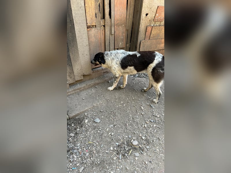Muck, sieht mich jetzt mal endlich jemand?