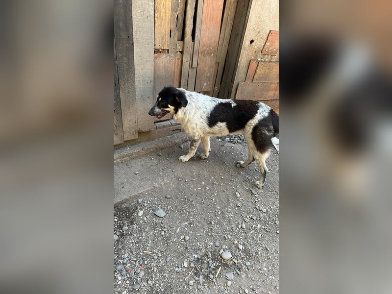 Muck, sieht mich jetzt mal endlich jemand?