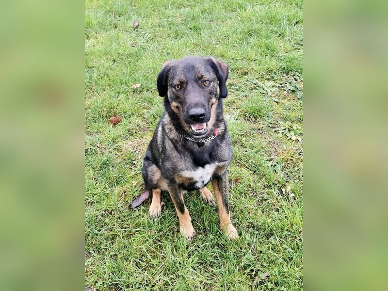 Scooby - er ist einfach verliebenswert. Er lebt, weil seine Mama gerettet wurde.