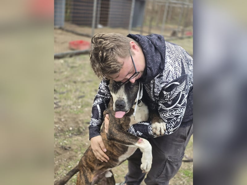 Bullet-BE, Kuschelmonster sucht Menschen!