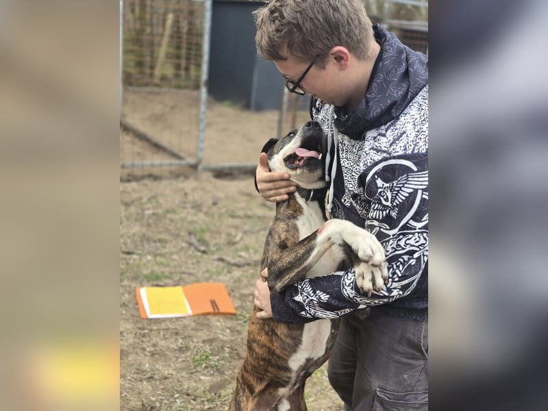Bullet-BE, Kuschelmonster sucht Menschen!