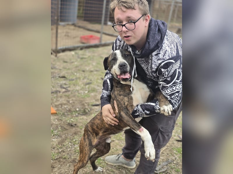 Bullet-BE, Kuschelmonster sucht Menschen!
