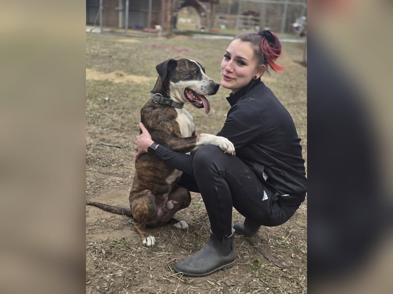 Bullet-BE, Kuschelmonster sucht Menschen!