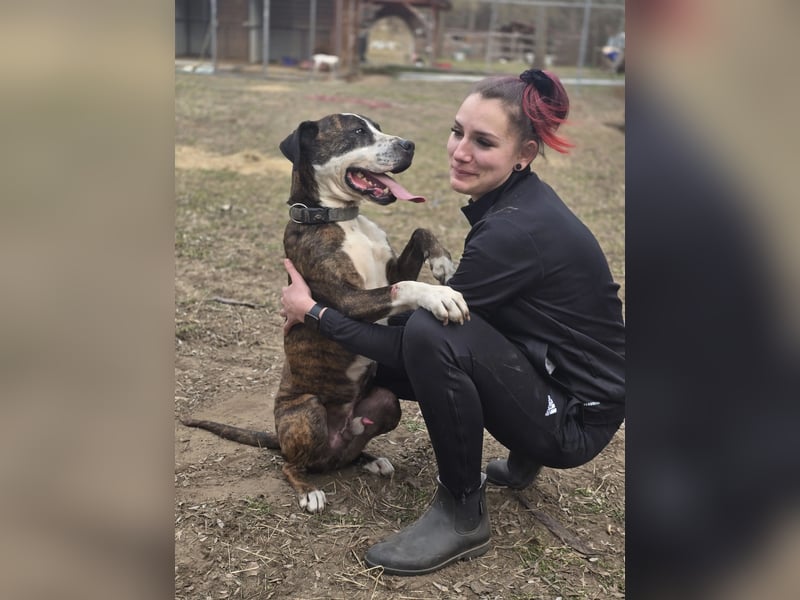 Bullet-BE, Kuschelmonster sucht Menschen!