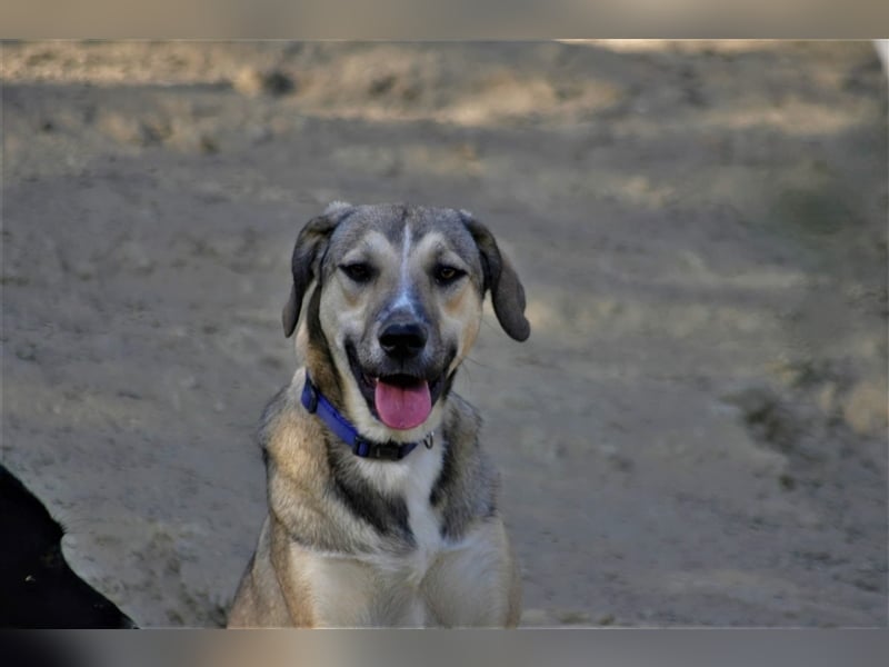 Murphy sucht Traumzuhause!