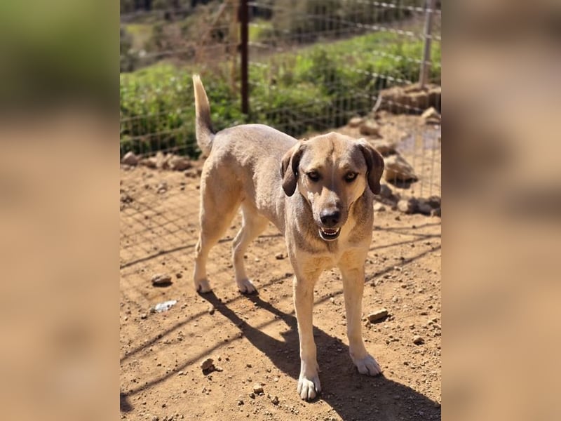 Murphy sucht Traumzuhause!