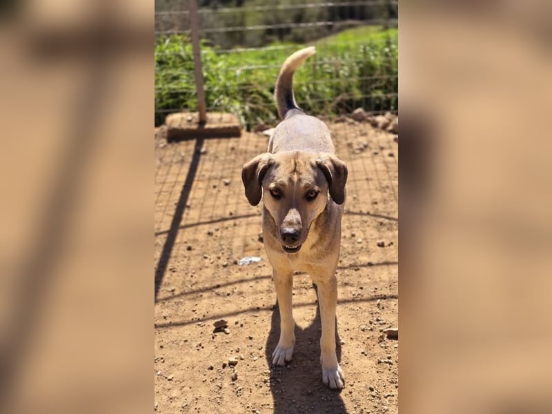 Murphy sucht Traumzuhause!