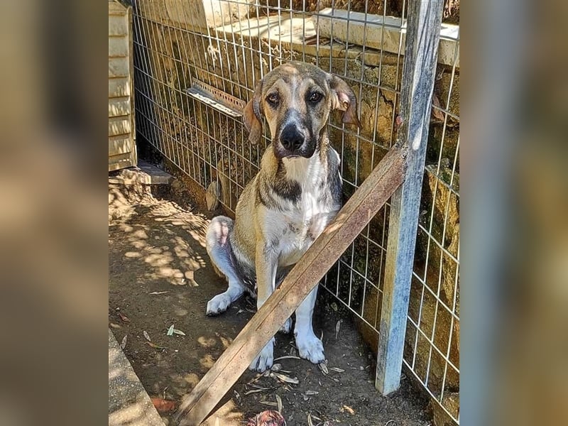 Murphy sucht Traumzuhause!
