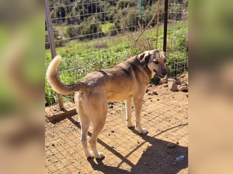 Murphy sucht Traumzuhause!