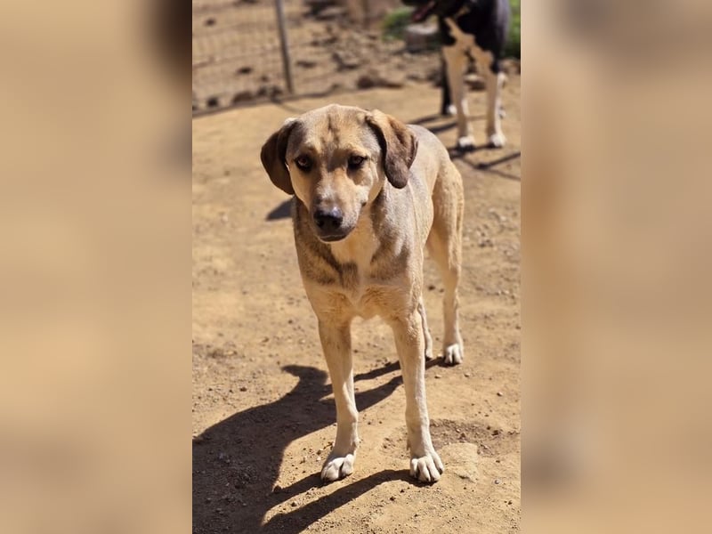 Murphy sucht Traumzuhause!