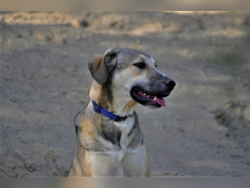 Murphy sucht Traumzuhause!