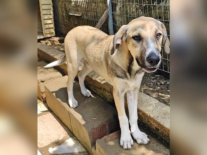 Murphy sucht Traumzuhause!