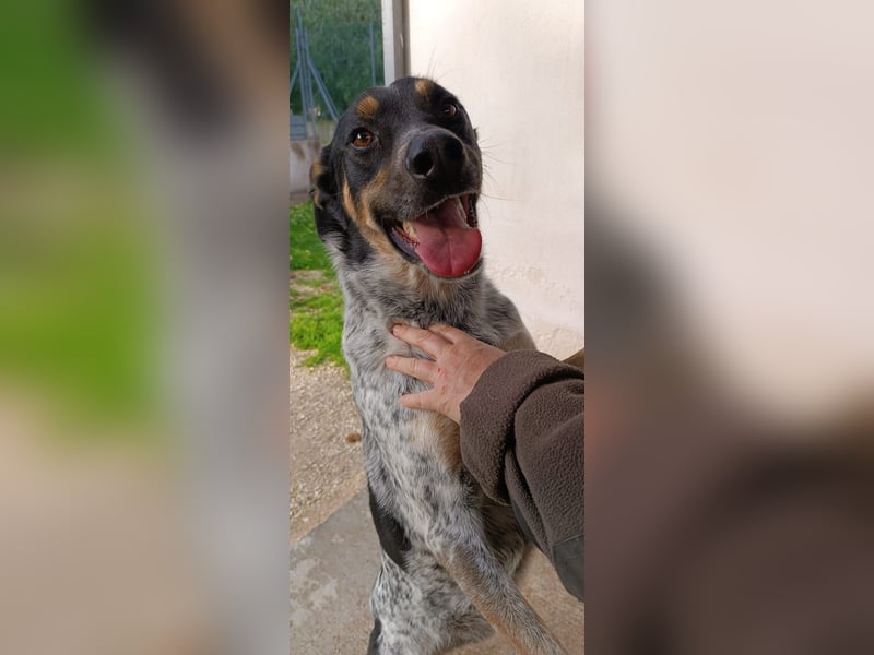 Bacio - ein Schatz für die ganze Familie