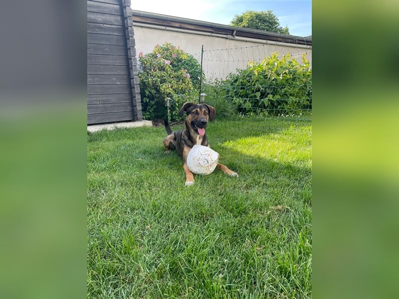 Sam - hat soviel zu bieten