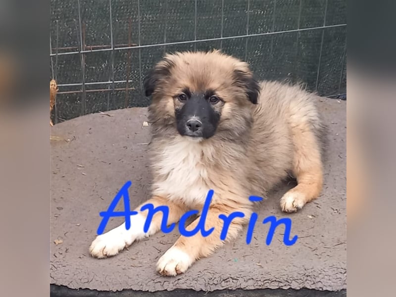 Unser hübscher Andrin