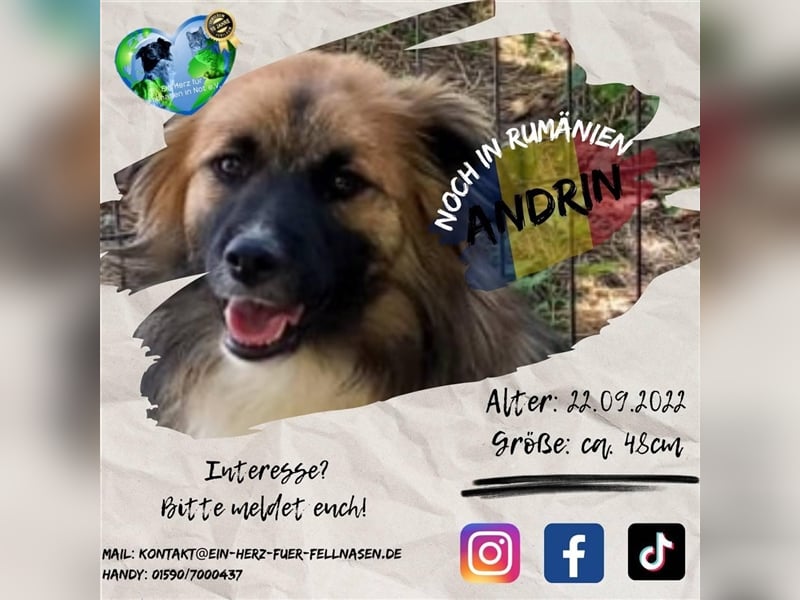 Unser wunderschöner Andrin