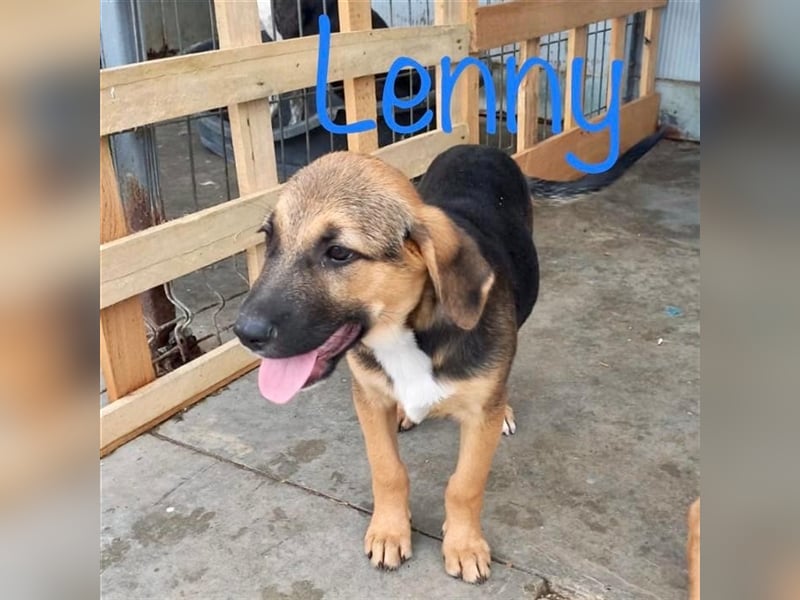 Unser verspielter Lenny